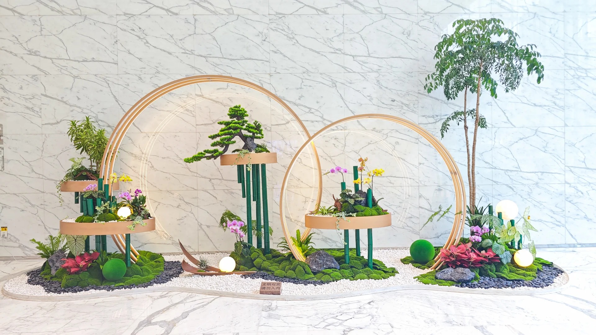 体验宁波余姚植物租赁设计,畅享清新宜人家居氛围